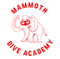 Mammoth Dive Academy